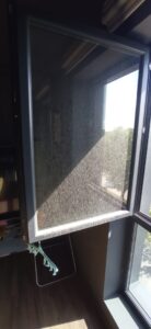 IMG 20250520